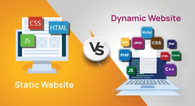 what is dynamic and static website